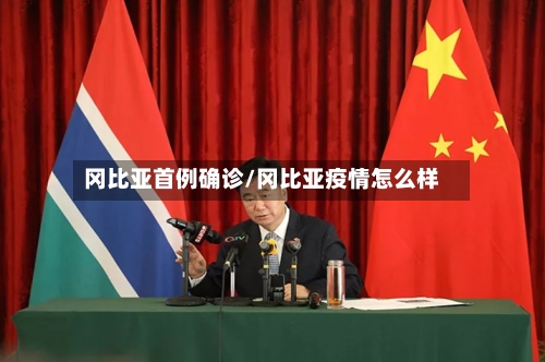 冈比亚首例确诊/冈比亚疫情怎么样