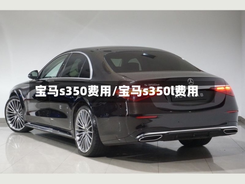 宝马s350费用/宝马s350l费用-第3张图片