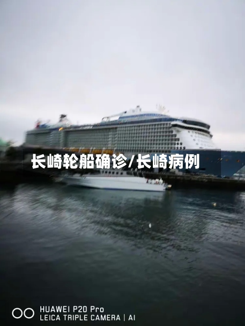 长崎轮船确诊/长崎病例