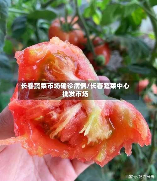 长春蔬菜市场确诊病例/长春蔬菜中心批发市场