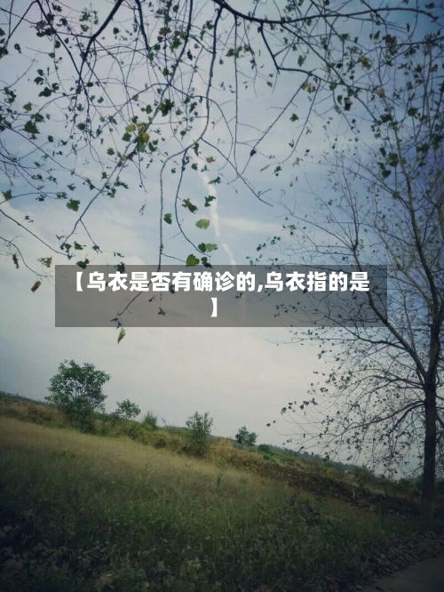 【乌衣是否有确诊的,乌衣指的是】-第2张图片