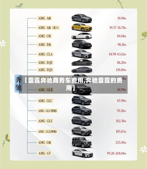 【雷霆奔驰商务车费用,奔驰雷霆的费用】