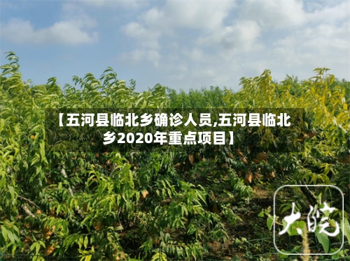 【五河县临北乡确诊人员,五河县临北乡2020年重点项目】