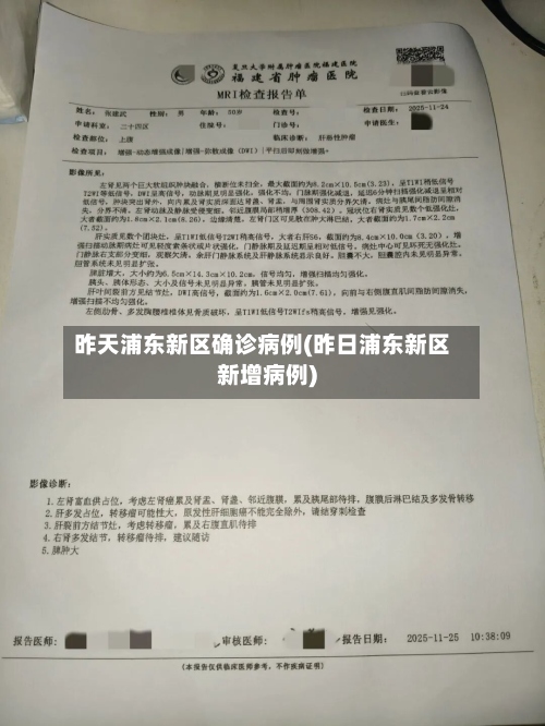 昨天浦东新区确诊病例(昨日浦东新区新增病例)-第2张图片