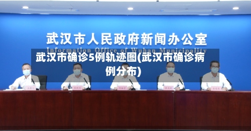武汉市确诊5例轨迹图(武汉市确诊病例分布)-第2张图片