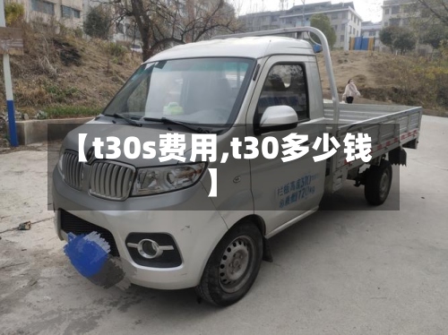 【t30s费用,t30多少钱】-第2张图片