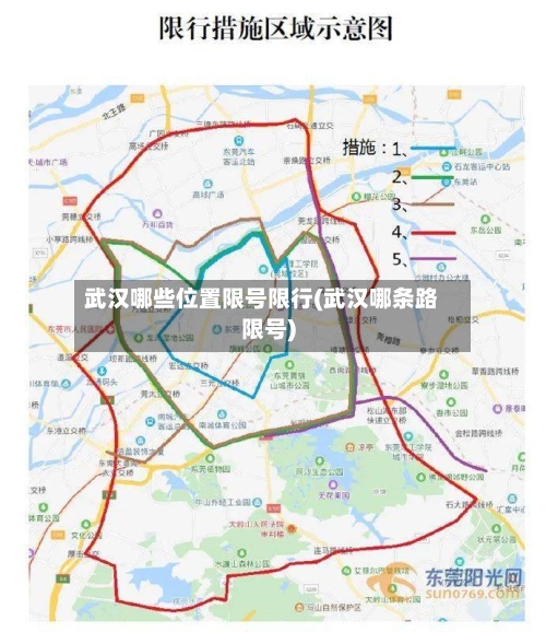 武汉哪些位置限号限行(武汉哪条路限号)