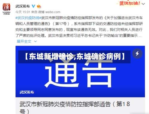 【东城新增确诊,东城确诊病例】-第3张图片