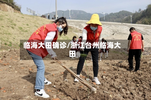 临海大田确诊/浙江台州临海大田-第2张图片
