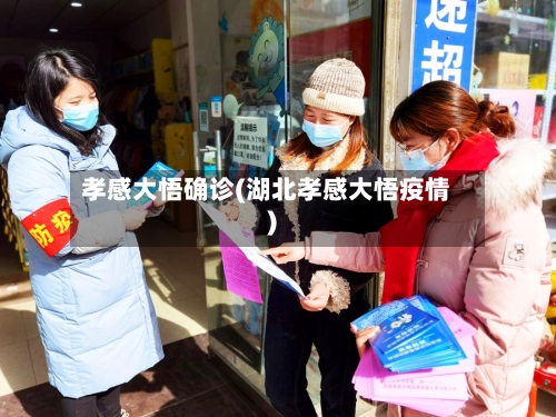 孝感大悟确诊(湖北孝感大悟疫情)