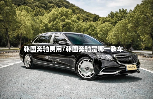 韩国奔驰费用/韩国奔驰是哪一款车-第2张图片