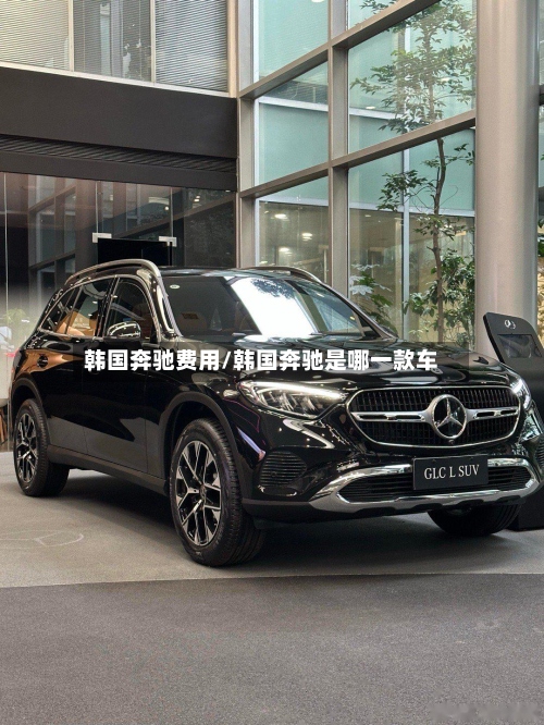韩国奔驰费用/韩国奔驰是哪一款车