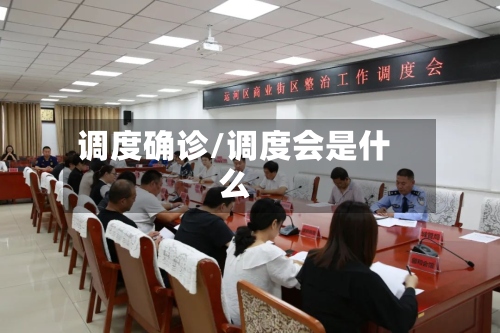 调度确诊/调度会是什么