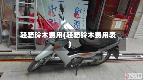 轻骑玲木费用(轻骑铃木费用表)-第2张图片