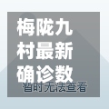 梅陇九村最新确诊数(梅陇九村门卫电话)-第3张图片