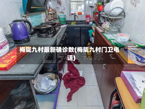 梅陇九村最新确诊数(梅陇九村门卫电话)-第2张图片