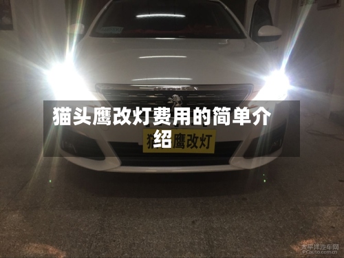 猫头鹰改灯费用的简单介绍-第2张图片