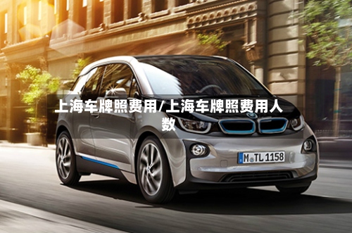 上海车牌照费用/上海车牌照费用人数-第3张图片