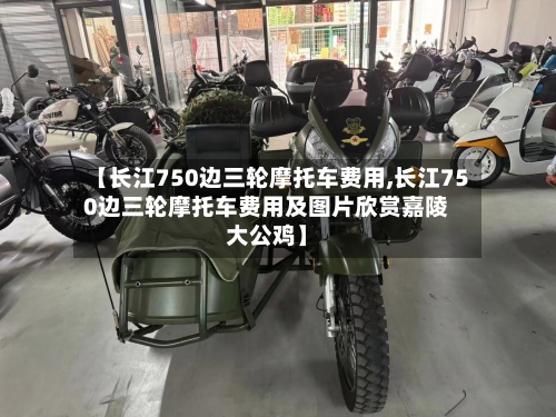 【长江750边三轮摩托车费用,长江750边三轮摩托车费用及图片欣赏嘉陵大公鸡】