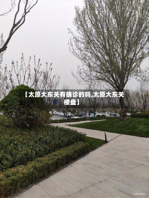 【太原大东关有确诊的吗,太原大东关楼盘】-第2张图片