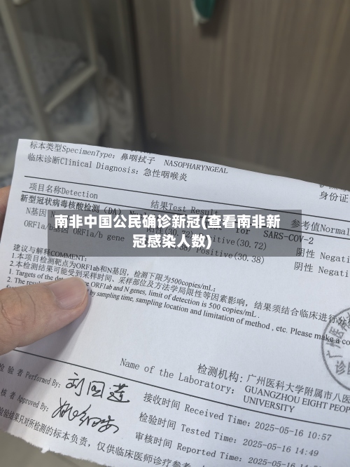 南非中国公民确诊新冠(查看南非新冠感染人数)-第2张图片