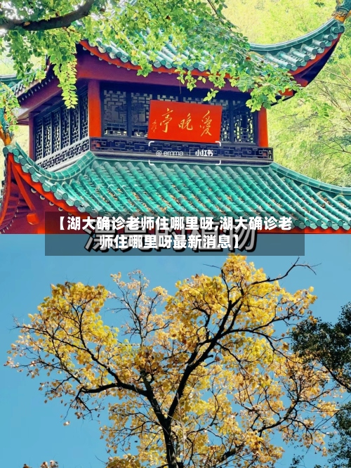 【湖大确诊老师住哪里呀,湖大确诊老师住哪里呀最新消息】