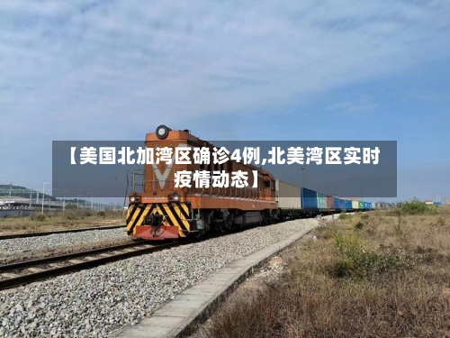 【美国北加湾区确诊4例,北美湾区实时疫情动态】