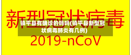 镇平县有确诊的吗吗(镇平县新型冠状病毒肺炎有几例)-第2张图片