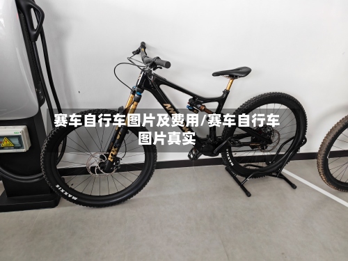赛车自行车图片及费用/赛车自行车图片真实