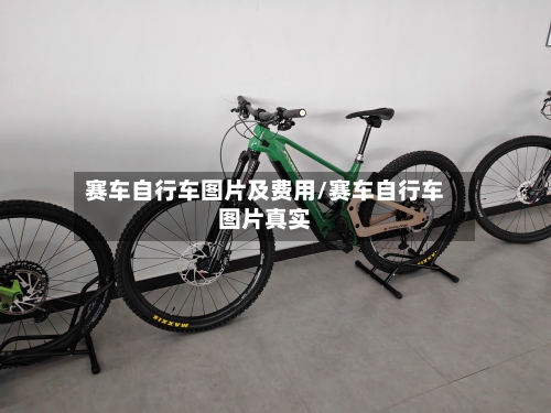 赛车自行车图片及费用/赛车自行车图片真实-第3张图片