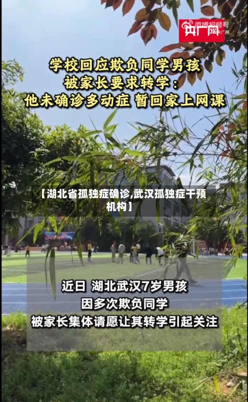 【湖北省孤独症确诊,武汉孤独症干预机构】-第2张图片