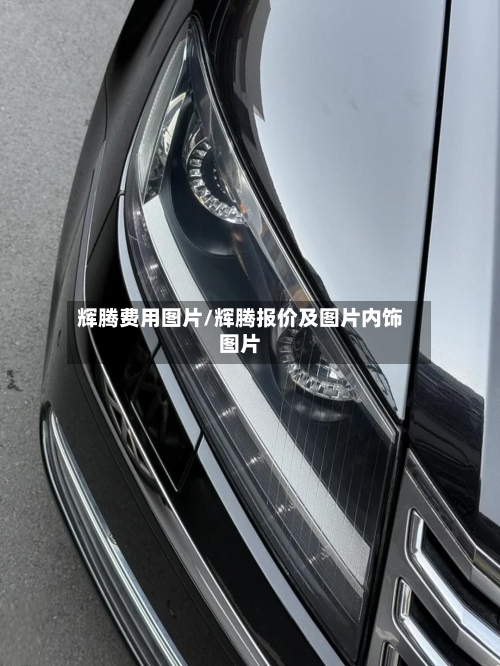 辉腾费用图片/辉腾报价及图片内饰图片-第3张图片