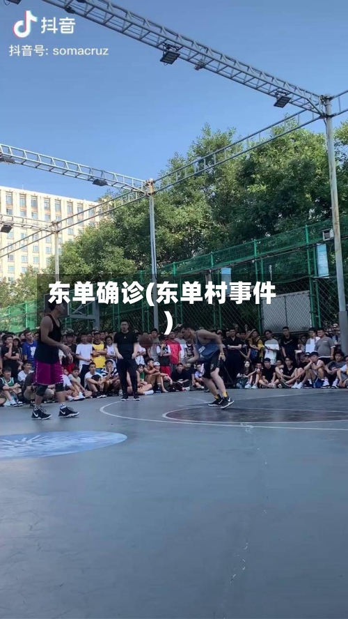 东单确诊(东单村事件)