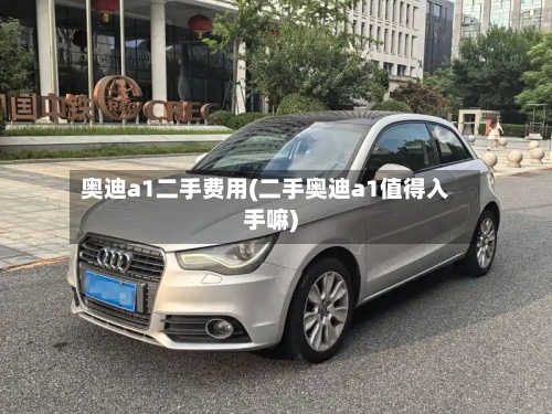 奥迪a1二手费用(二手奥迪a1值得入手嘛)-第2张图片