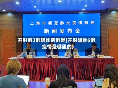 开封的3例确诊病例是(开封确诊6例疫情是哪里的)-第3张图片