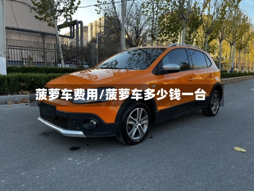 菠萝车费用/菠萝车多少钱一台