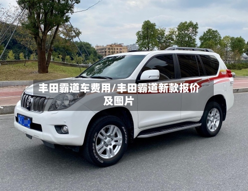 丰田霸道车费用/丰田霸道新款报价及图片-第2张图片