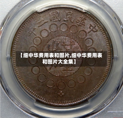 【细中华费用表和图片,细中华费用表和图片大全集】-第2张图片
