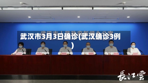 武汉市3月3日确诊(武汉确诊3例)