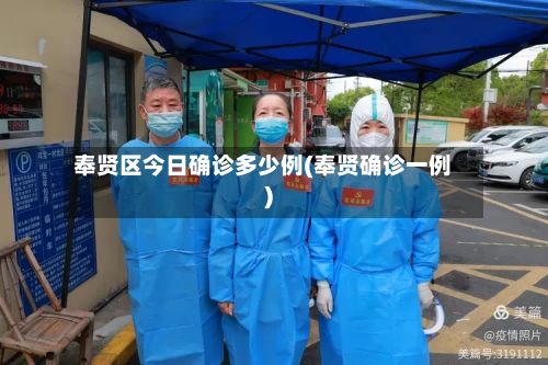奉贤区今日确诊多少例(奉贤确诊一例)-第2张图片