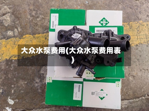 大众水泵费用(大众水泵费用表)