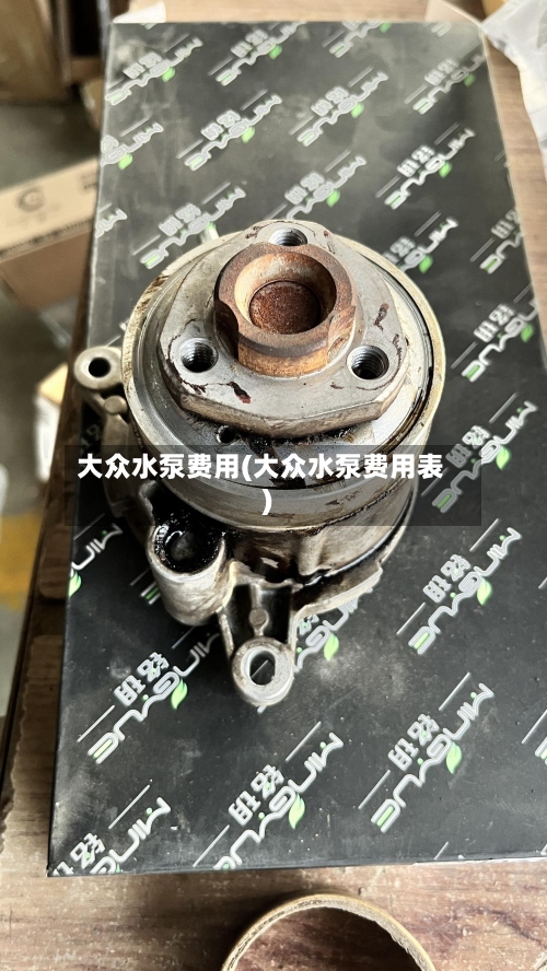 大众水泵费用(大众水泵费用表)-第3张图片