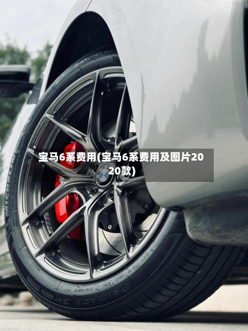 宝马6系费用(宝马6系费用及图片2020款)-第2张图片