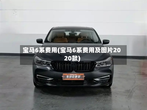 宝马6系费用(宝马6系费用及图片2020款)-第3张图片