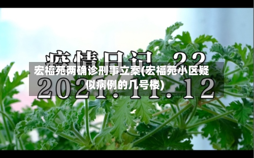 宏福苑两确诊刑事立案(宏福苑小区疑似病例的几号楼)-第2张图片