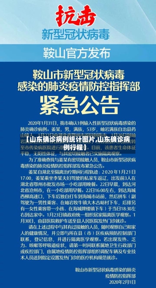 【山东确诊病例统计图片,山东确诊病例行程】