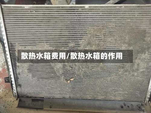 散热水箱费用/散热水箱的作用
