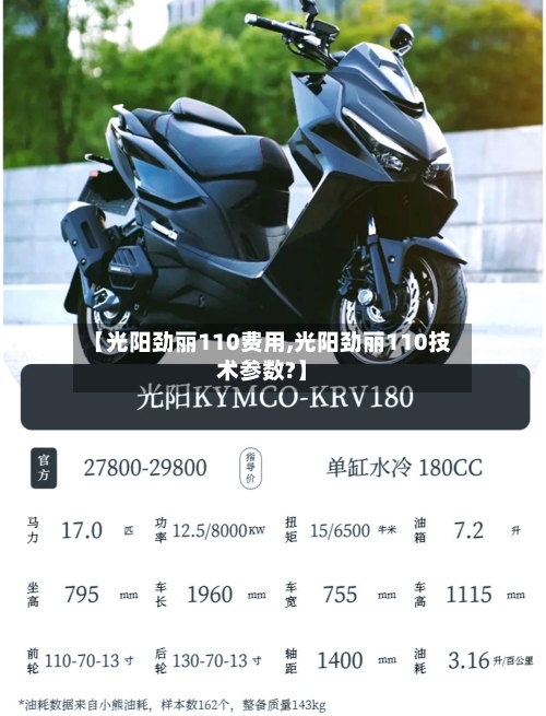 【光阳劲丽110费用,光阳劲丽110技术参数?】-第2张图片