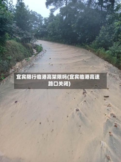宜宾限行临港高架限吗(宜宾临港高速路口关闭)-第2张图片