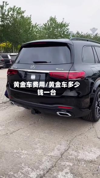 黄金车费用/黄金车多少钱一台-第3张图片